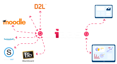 lms brands